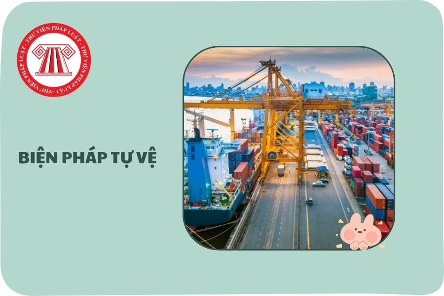 Hỏi đáp Pháp luật