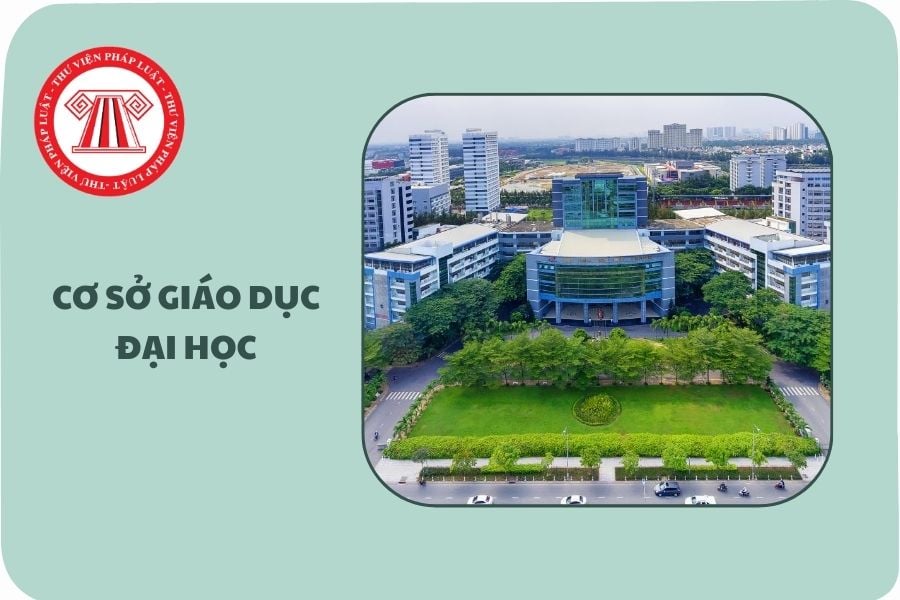 Bộ Chính trị yêu cầu sáp nhập, giải thể các cơ sở giáo dục đại học không đạt chuẩn theo Nghị quyết 71 phải không?