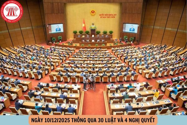 Hỏi đáp Pháp luật