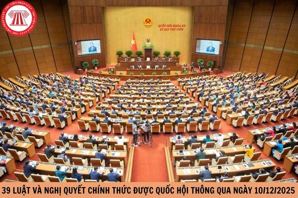 Hỏi đáp Pháp luật