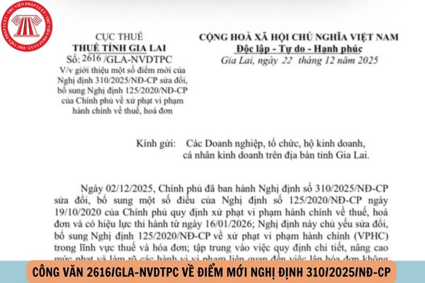 Công văn 2616/GLA-NVDTPC về điểm mới Nghị định 310/2025/NĐ-CP