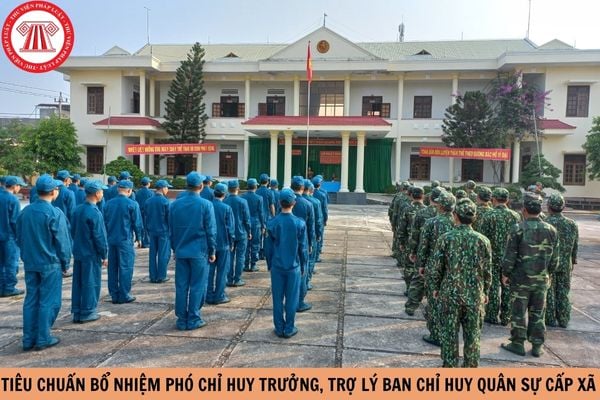 Hỏi đáp Pháp luật