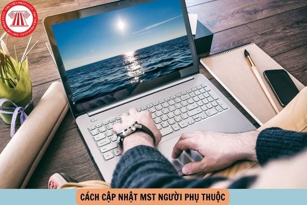 Hỏi đáp Pháp luật