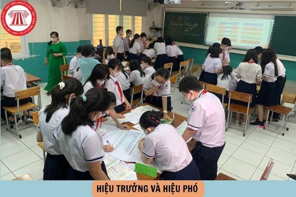Hỏi đáp Pháp luật