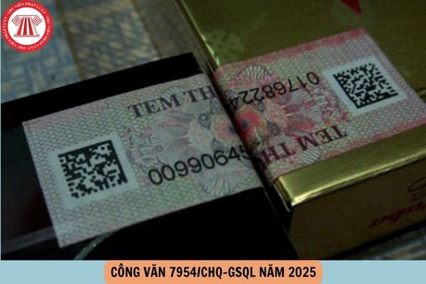 Toàn văn Công văn 7954 CHQ GSQL 05/6/2025 về triển khai Thông tư 31/2025/TT-BTC về tem điện tử như thế nào?