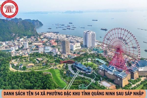 Hỏi đáp Pháp luật