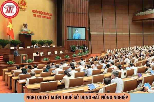 Hỏi đáp Pháp luật