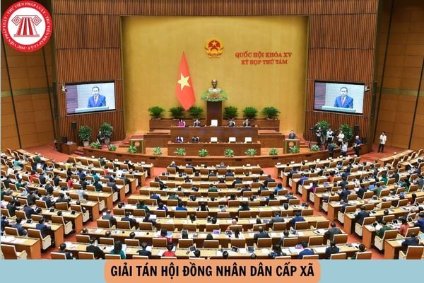 Pháp luật
