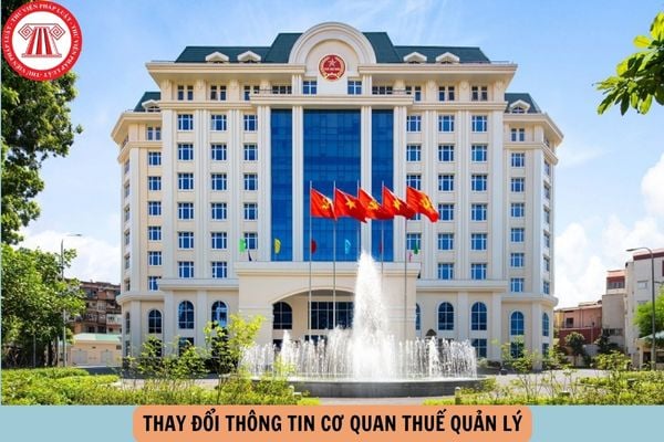 Hỏi đáp Pháp luật
