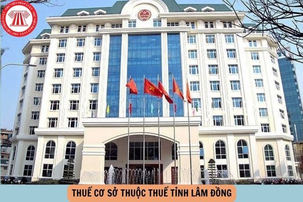 Hỏi đáp Pháp luật