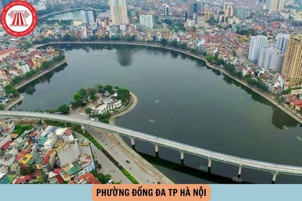 Hỏi đáp Pháp luật
