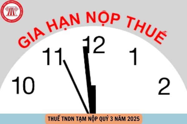 Hỏi đáp Pháp luật