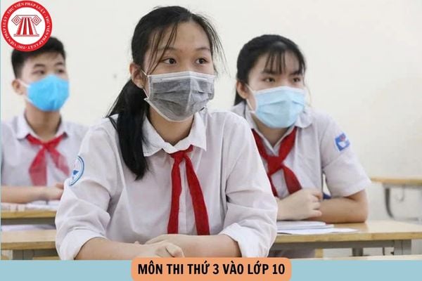 Hỏi đáp Pháp luật