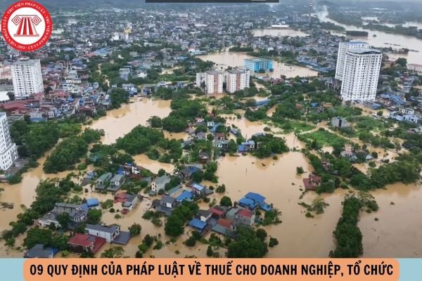 Hỏi đáp Pháp luật