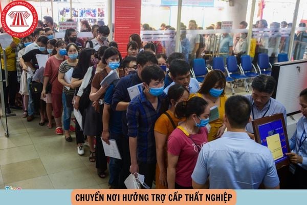 Hỏi đáp Pháp luật
