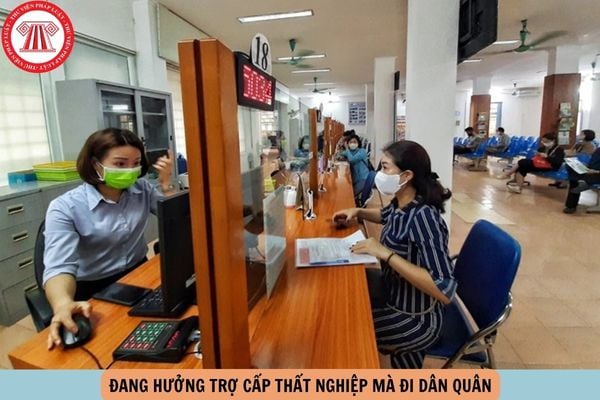 Hỏi đáp Pháp luật