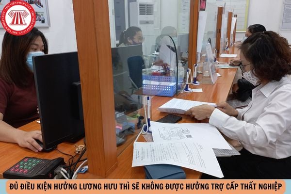 Hỏi đáp Pháp luật