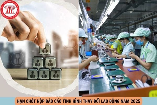Hỏi đáp Pháp luật