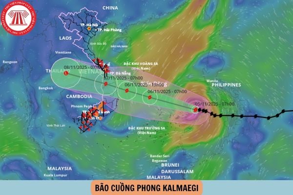 Hỏi đáp Pháp luật