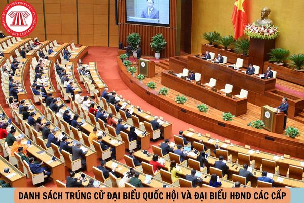 danh sách trúng cử đại biểu Quốc hội khoá 16 và đại biểu Hội đồng Nhân dân các cấp nhiệm kỳ 2026 2031
