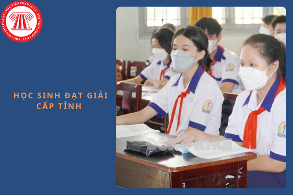 Cộng đến 1,5 điểm tuyển sinh lớp 10 cho học sinh đạt giải cấp tỉnh từ năm 2025?