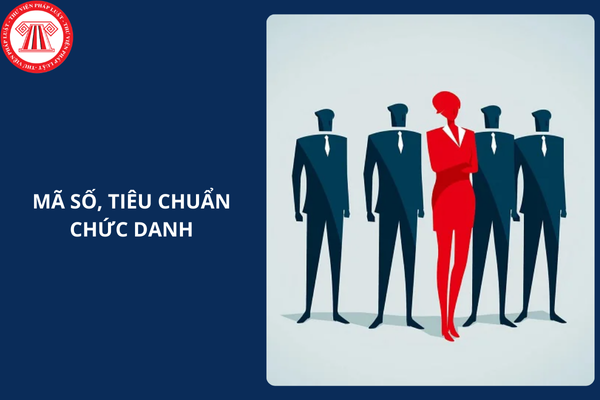 Đã có Thông tư 15/2024/TT-BTP quy định mã số, tiêu chuẩn chức danh công chứng viên, đấu giá viên, hỗ trợ pháp lý và hỗ trợ nghiệp vụ?