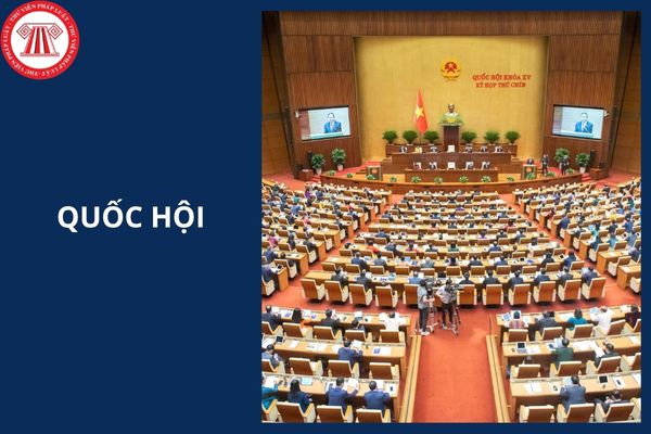Hỏi đáp Pháp luật