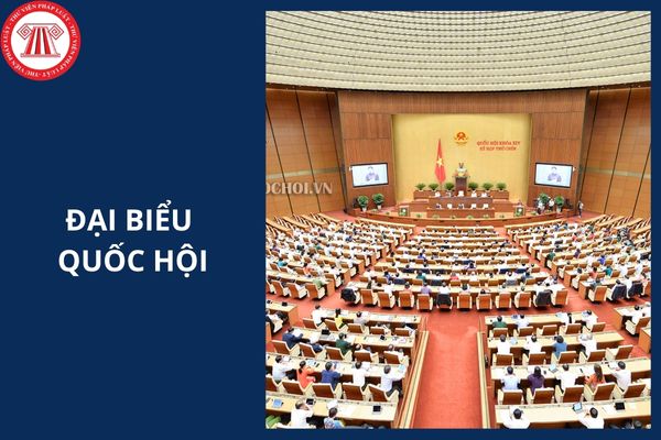 Nhóm nữ đại biểu Quốc hội Việt Nam được thành lập từ khoá nào?