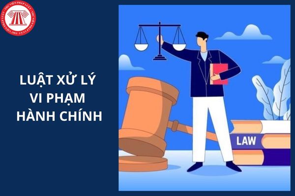 Hỏi đáp Pháp luật