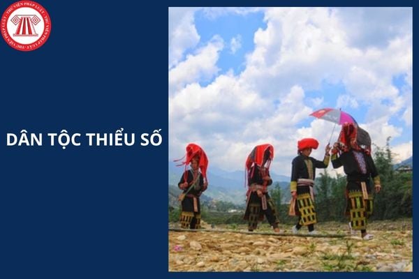 Đề án tổng thể phát triển kinh tế - xã hội vùng đồng bào dân tộc thiểu số và miền núi giai đoạn 2021-2030 đặt ra định hướng mục tiêu đến năm 2030 thế nào?