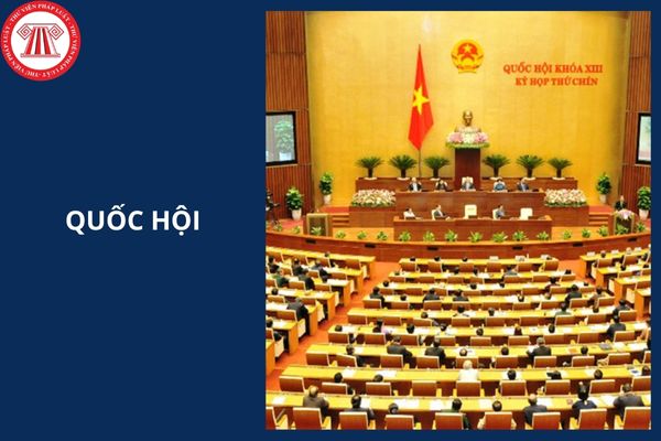 Hỏi đáp Pháp luật