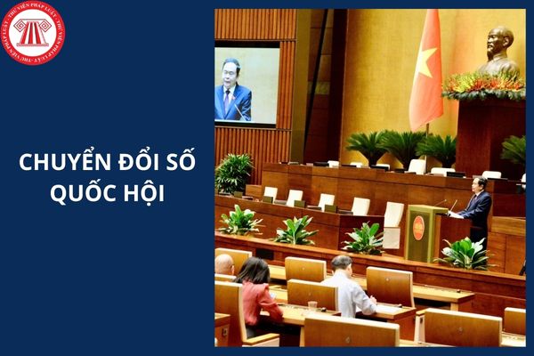 Hỏi đáp Pháp luật