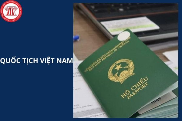 Hỏi đáp Pháp luật