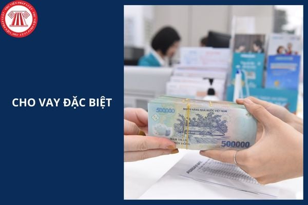 Toàn văn Thông tư 35/2025/TT-NHNN quy định về cho vay đặc biệt đối với tổ chức tín dụng thế nào?