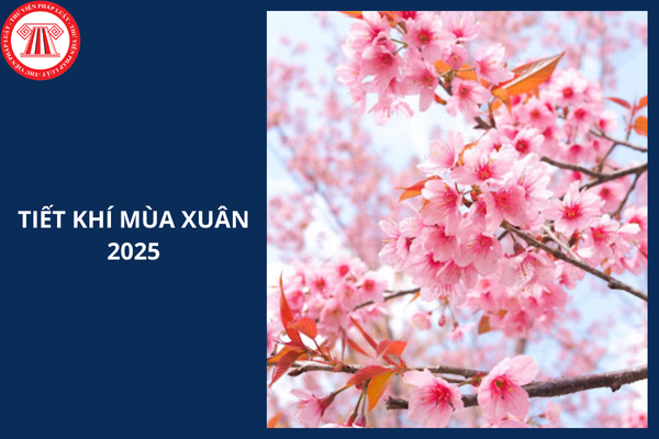 Tiết khí mùa Xuân 2025? Tên gọi 6 tiết khí mùa xuân chi tiết nhất?