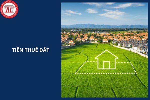 TOÀN VĂN Nghị định 87 2025 NĐ CP quy định giảm tiền thuê đất năm 2024?