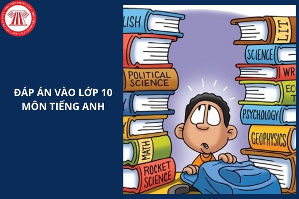 Đáp án vào lớp 10 môn TIẾNG ANH tỉnh Vĩnh Phúc 2025 chi tiết ra sao?