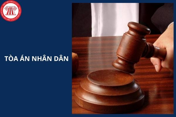 Hỏi đáp Pháp luật