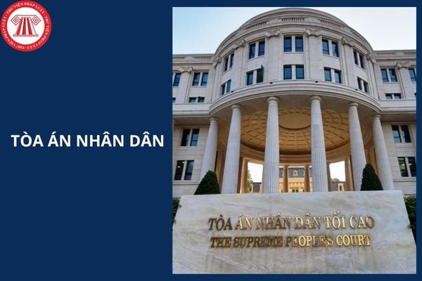 Hỏi đáp Pháp luật