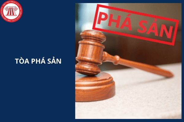 Hỏi đáp Pháp luật