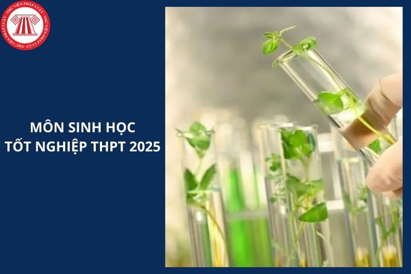 Full đáp án đề môn Sinh mã đề 0407 thi tốt nghiệp THPT 2025 thế nào?