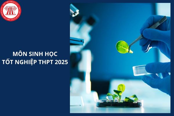 Đáp án mã đề 0433 môn SINH HỌC tốt nghiệp THPT 2025 ra sao?