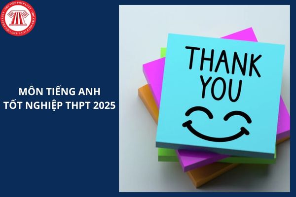Full đáp án đề Tiếng Anh mã đề 1113 thi tốt nghiệp THPT 2025 thế nào?