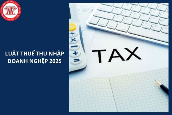 Luật Thuế thu nhập doanh nghiệp 2025 có hiệu lực từ khi nào?