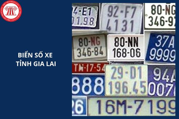 Hỏi đáp Pháp luật