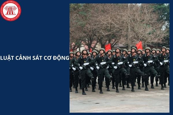 Hỏi đáp Pháp luật