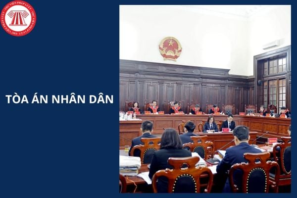 Hỏi đáp Pháp luật