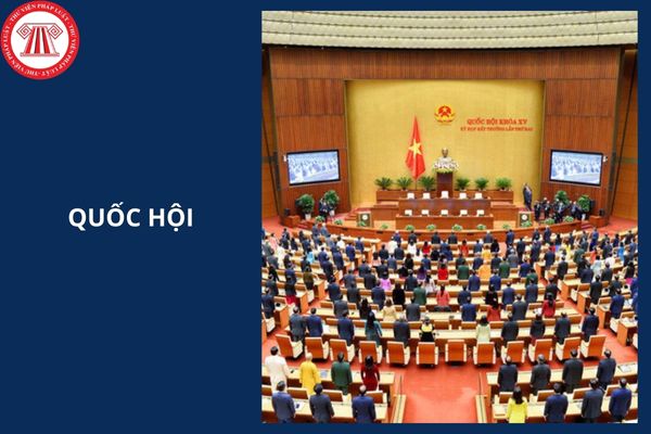 Hỏi đáp Pháp luật