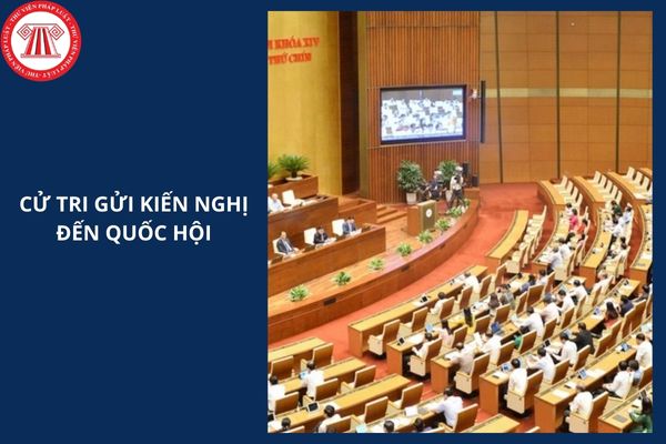 Hỏi đáp Pháp luật