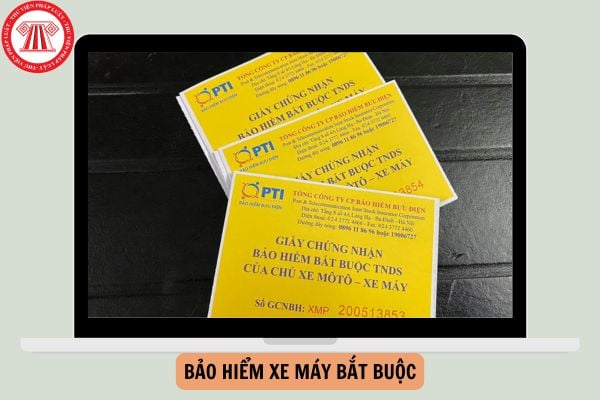 Tăng mức phạt không có bảo hiểm xe máy bắt buộc từ ngày 01/01/2025?